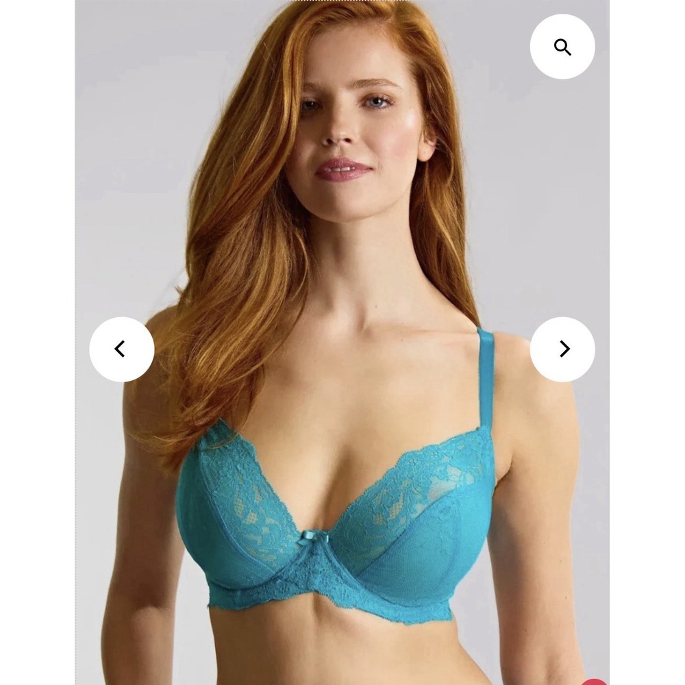 Panache Andorra 5675 Full Coverage Lace Underwire Bra 38FF Blue Supportive